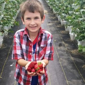 Meet your Posher, Debbie